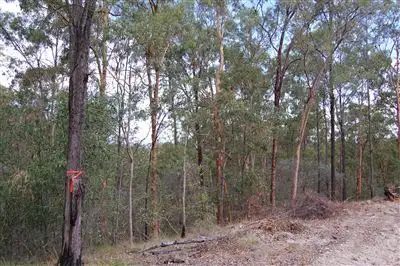 Second view of Homely land listing, Lot 6 Beattie Road, Mundoolun QLD 4285