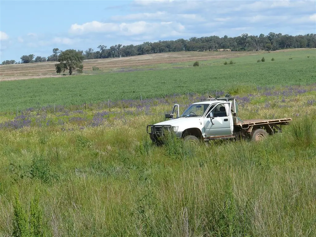 Main view of Homely rural property listing, Address available on request