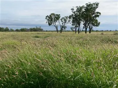 . "Arapinta & Blackburn", Charleville QLD 4470