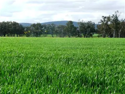 Third view of Homely rural property listing, 3308 Olympic Highway, Yerong Creek NSW 2642