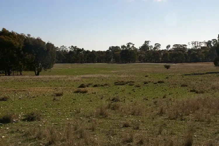 Second view of Homely rural property listing, . Morrl Morrl Forest Rd, Morrl Morrl VIC 3387