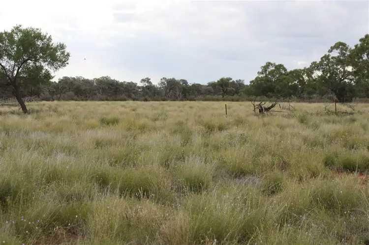 . "Besm", Thargomindah QLD 4492