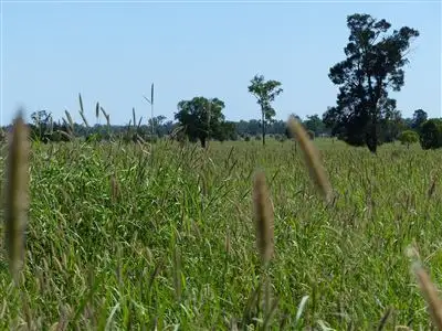 . Seventeen Mile, Roma QLD 4455