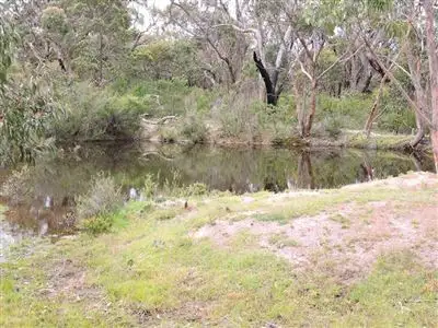 Third view of Homely rural property listing, 173 Regulating Basin Road, Mafeking VIC 3379