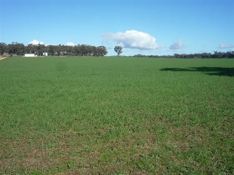 Main view of Homely rural property listing, - -, Carapooee VIC 3477