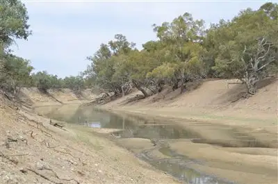 Fourth view of Homely rural property listing, * Newmans on the Darling, Tilpa, Cobar NSW 2835