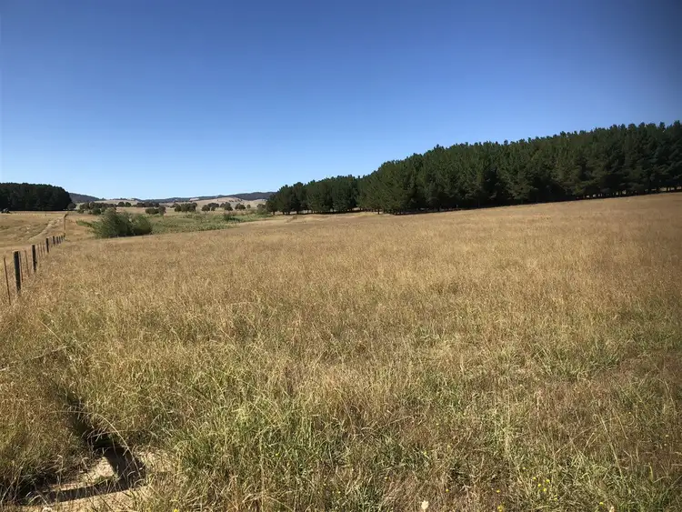 Sixth view of Homely rural property listing, 'Raymond' 2852 Jingellic Road, Tumbarumba NSW 2653