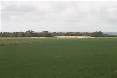 Main view of Homely rural property listing, 703 Chown Tank Rd, Koorda WA 6475