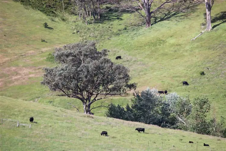Fifth view of Homely land listing, 140 Horns Lane, Alexandra VIC 3714