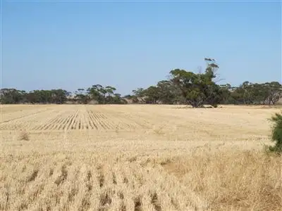 Third view of Homely rural property listing, Address available on request