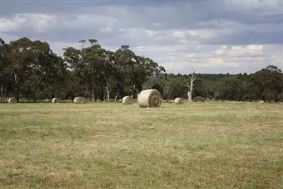 Sixth view of Homely rural property listing, 92 Harper Road, Meadows SA 5201