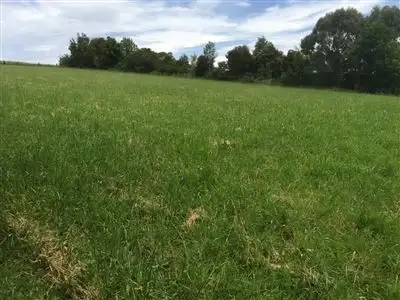 Second view of Homely land listing, 5 Green Valley Drive, Drouin VIC 3818
