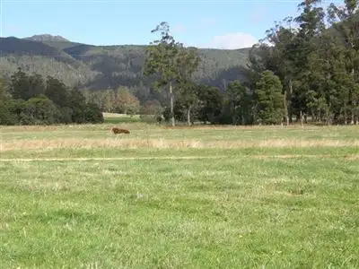 Sixth view of Homely rural property listing, 1140 New River Road, Ringarooma TAS 7263