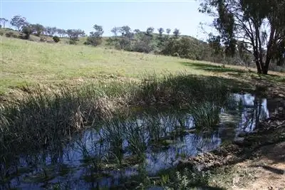 Second view of Homely rural property listing, 1534 Castlereagh Highway, Mudgee NSW 2850