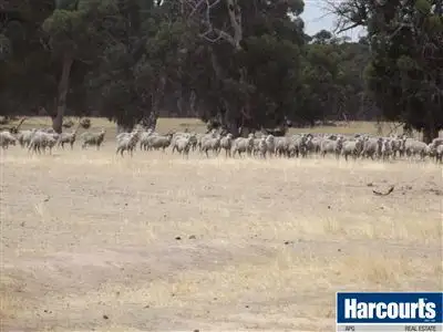 Sixth view of Homely rural property listing, 9980 Williams Location, Darkan WA 6392