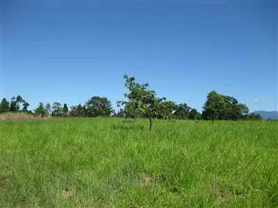 Main view of Homely rural property listing, Address available on request