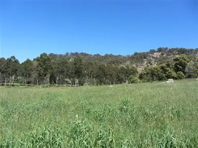 Main view of Homely rural property listing, 588 Mansfield Road, Euroa VIC 3666