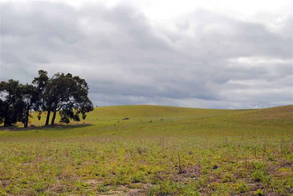 Main view of Homely land listing, Lot 250 Nabaroo Road, Gingin WA 6503