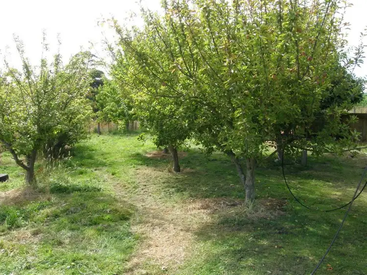 Sixth view of Homely house listing, 46 Winnaleah Road, Winnaleah TAS 7265
