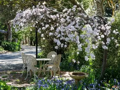 Fourth view of Homely rural property listing, 366 Bonython Road, Bugle Ranges SA