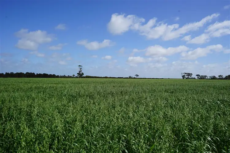3251 Kondinin - Narembeen Road, Narembeen WA 6369