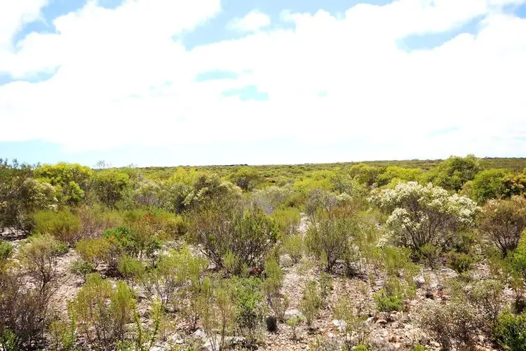 Fifth view of Homely rural property listing, Sect. 231 Souttar road, Warooka SA 5577