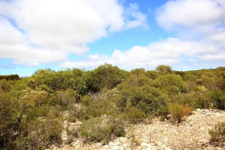 Sixth view of Homely rural property listing, Sect. 231 Souttar road, Warooka SA 5577