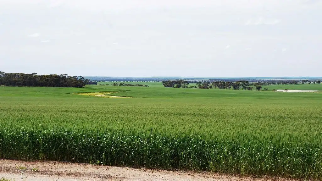 Main view of Homely rural property listing, 1928 Billericay Rd East, Narembeen WA 6369