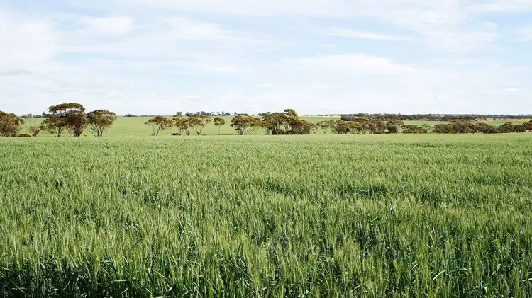 Second view of Homely rural property listing, 1928 Billericay Rd East, Narembeen WA 6369