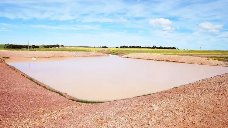 Fifth view of Homely rural property listing, 1928 Billericay Rd East, Narembeen WA 6369