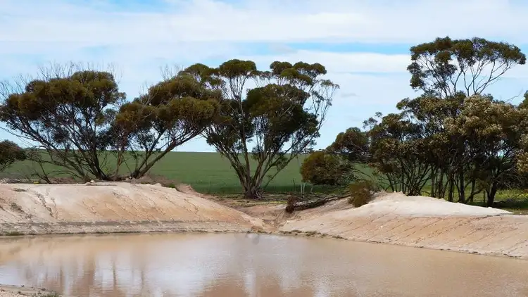 Sixth view of Homely rural property listing, 1928 Billericay Rd East, Narembeen WA 6369