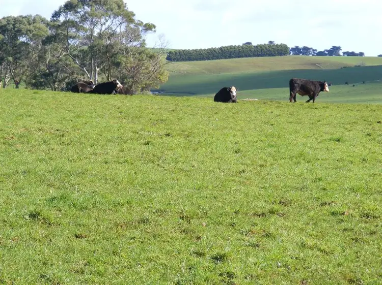 Second view of Homely land listing, 17298 Bass Highway, Boat Harbour TAS 7321