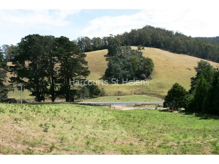 Third view of Homely land listing, Lot 1 Nicklasons Road, Pyengana TAS 7216