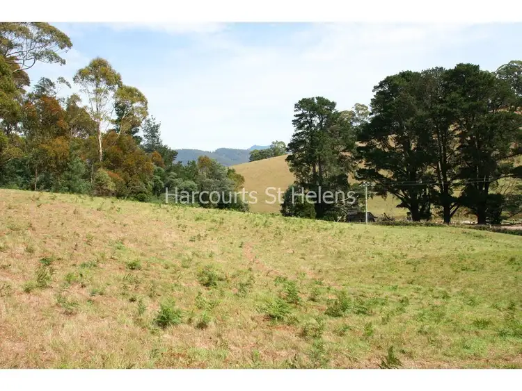 Fourth view of Homely land listing, Lot 1 Nicklasons Road, Pyengana TAS 7216