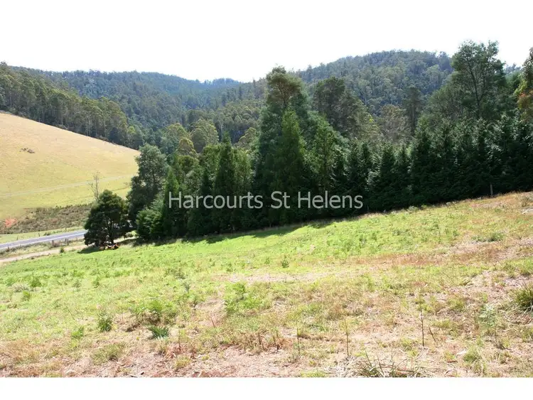 Fifth view of Homely land listing, Lot 1 Nicklasons Road, Pyengana TAS 7216
