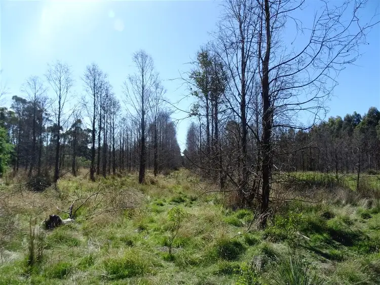54ha Weymouth Road, Pipers River TAS 7252