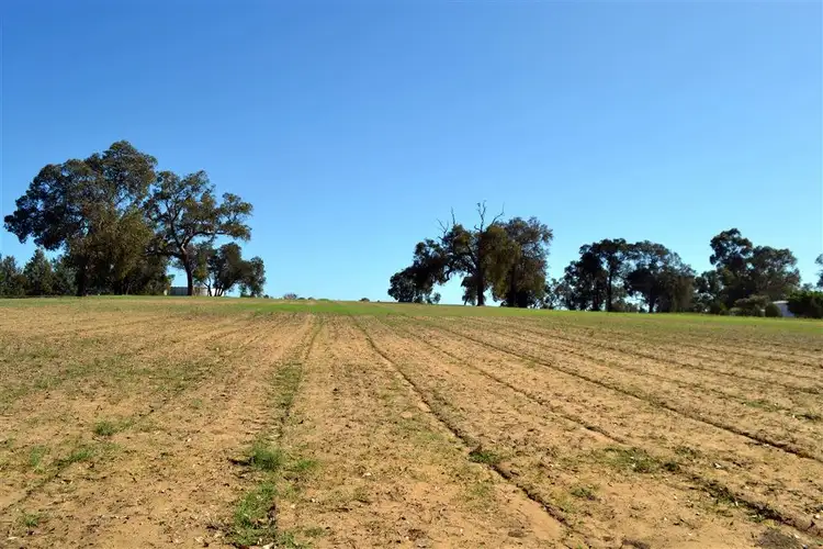 Fifth view of Homely house listing, 252 Rangeview Drive Wanerie, Gingin WA 6503