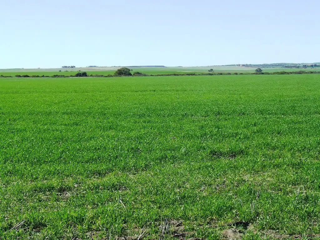 Main view of Homely rural property listing, Address available on request