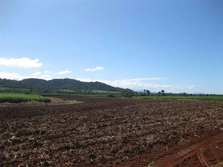 2098 Innisfail-Japoon Road, Bombeeta QLD 4871