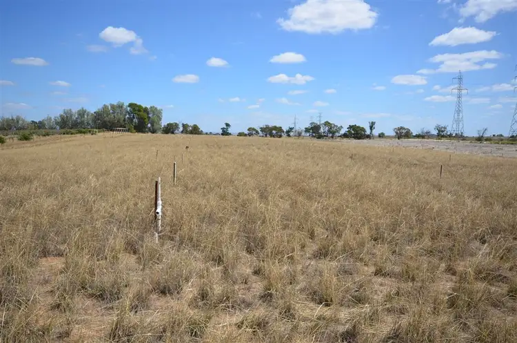 Main view of Homely rural property listing, 185 199 Mitchell Avenue, Murray Bridge SA 5253