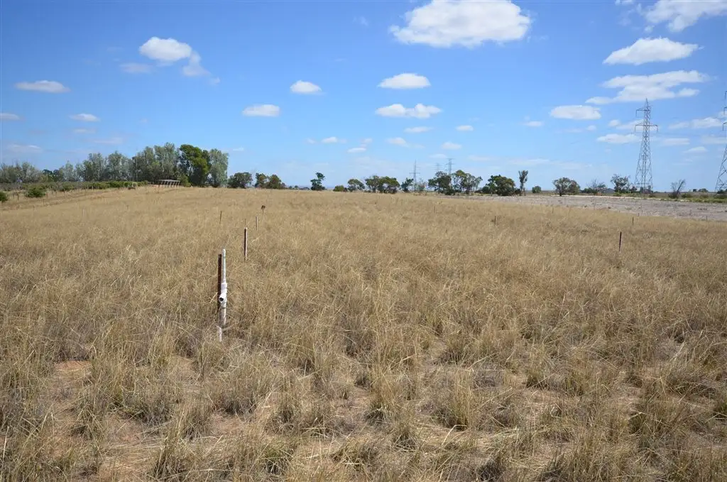 Main view of Homely rural property listing, 185 199 Mitchell Avenue, Murray Bridge SA 5253