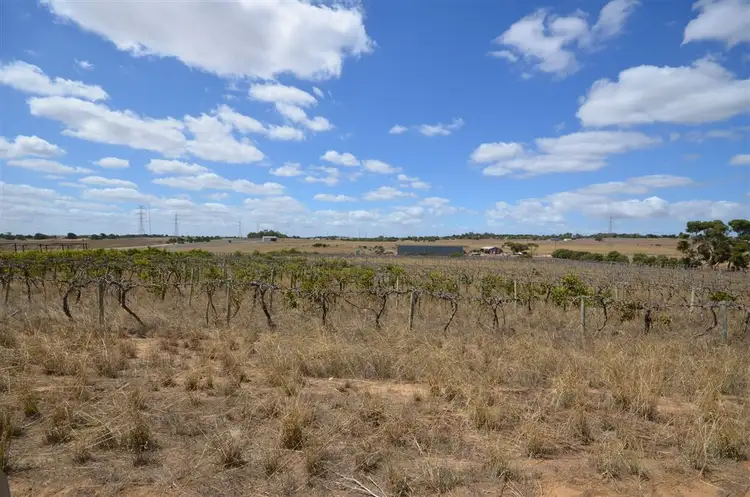 Second view of Homely rural property listing, 185 199 Mitchell Avenue, Murray Bridge SA 5253