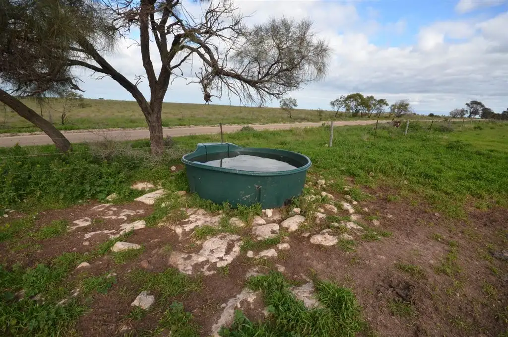 Main view of Homely rural property listing, Sec 1112 Hawknest, Jervois SA 5259