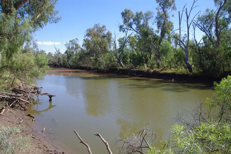 Main view of Homely rural property listing, 264 Myalla Lane, Wee Waa NSW 2388