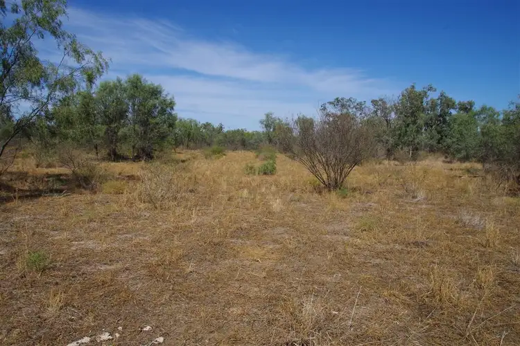 Second view of Homely rural property listing, 264 Myalla Lane, Wee Waa NSW 2388