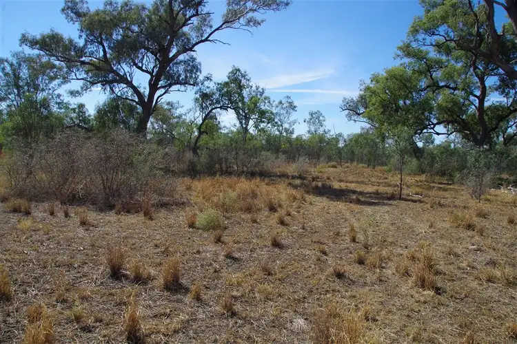 Third view of Homely rural property listing, 264 Myalla Lane, Wee Waa NSW 2388
