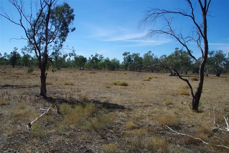 Fourth view of Homely rural property listing, 264 Myalla Lane, Wee Waa NSW 2388