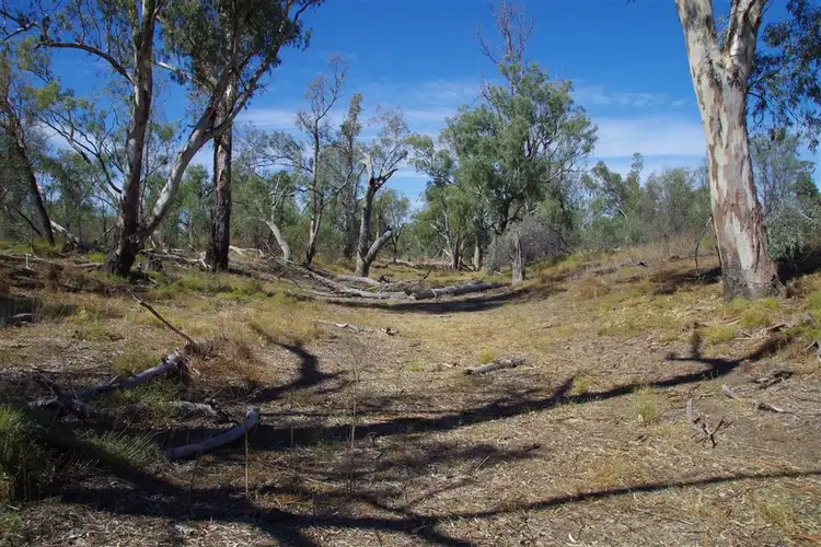 Fifth view of Homely rural property listing, 264 Myalla Lane, Wee Waa NSW 2388