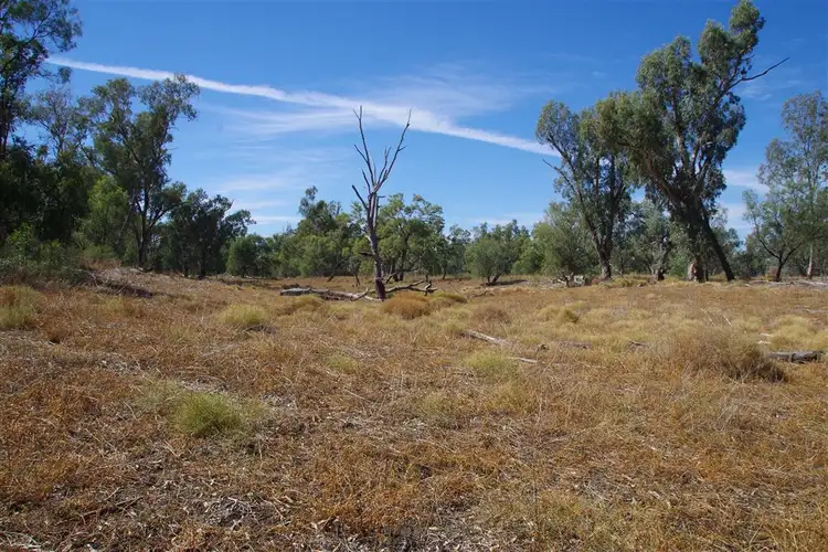 Sixth view of Homely rural property listing, 264 Myalla Lane, Wee Waa NSW 2388