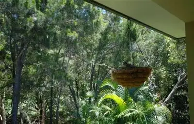 Sixth view of Homely house listing, 10 Northpoint Close, Robina QLD